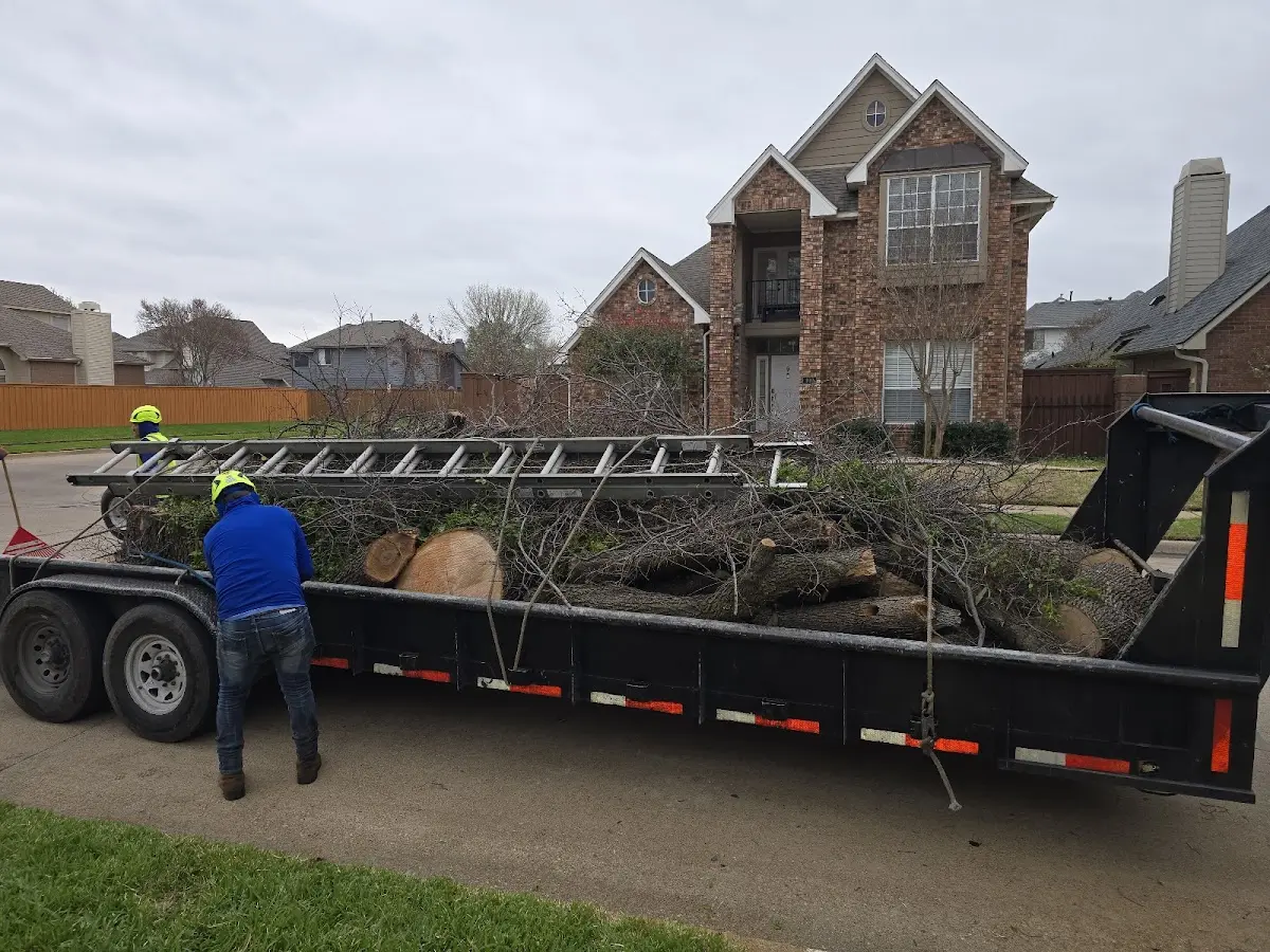 Expert Tree Fertilization with proper safety equipment in Emden